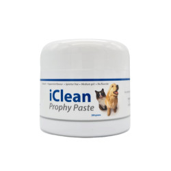 iClean Prophy Paste iM3